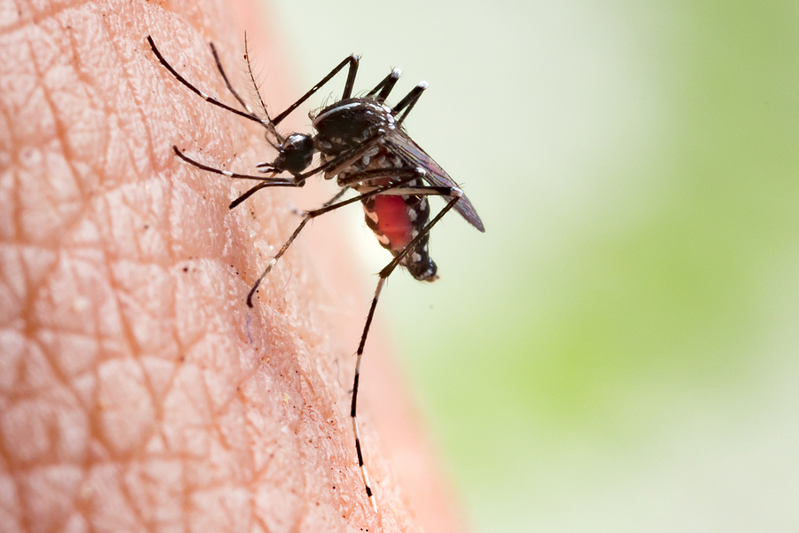 Intervenciones para reducir el impacto de la malaria en el pais